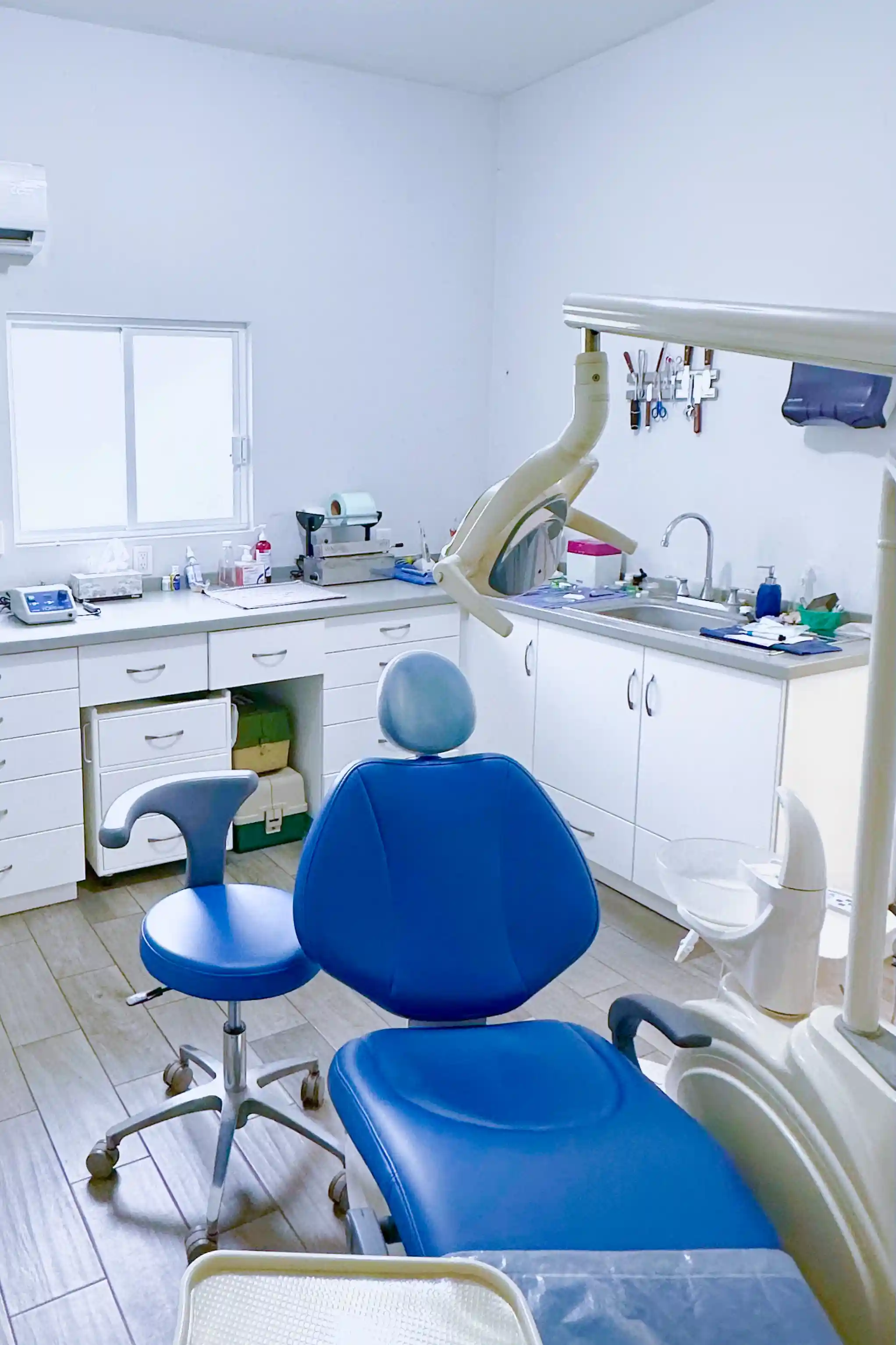 Fotografía de la Dra. Mónica